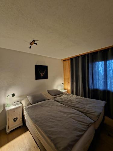 appartement Veysonnaz, Valais, ski, mountain biking, raquettes, balades