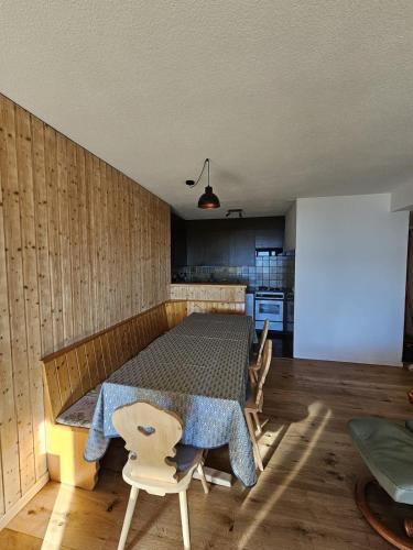 appartement Veysonnaz, Valais, ski, mountain biking, raquettes, balades