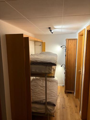 appartement Veysonnaz, Valais, ski, mountain biking, raquettes, balades