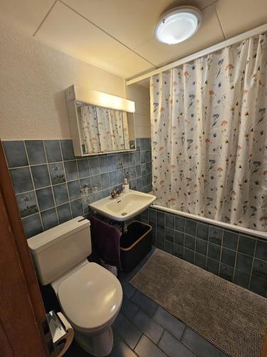 appartement Veysonnaz, Valais, ski, mountain biking, raquettes, balades