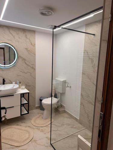 a bathroom with a shower and a toilet and a sink at The Forest Nest Apartment in Sărmaş