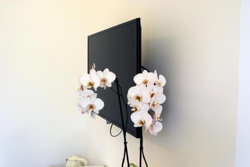 TV a/nebo společenská místnost v ubytování B&B Mondello Design
