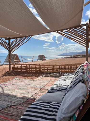 Anne Sinai Best Camp