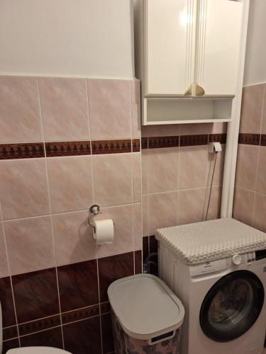 a small bathroom with a toilet and a washing machine at Apartament Cichy Zakątek in Ruciane-Nida
