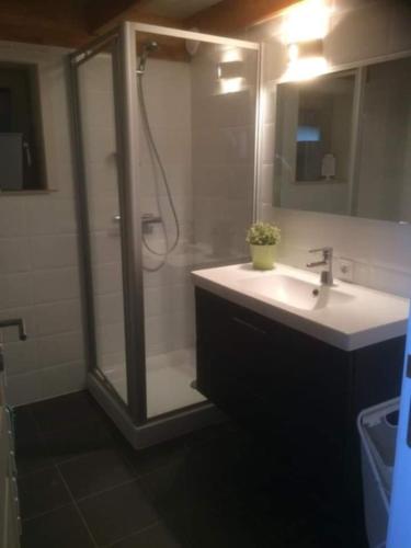 a bathroom with a shower and a sink and a shower at Genieten in Wenduine in De Haan