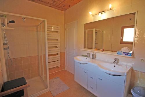a bathroom with a sink and a shower at Les tilleuls in Glanges