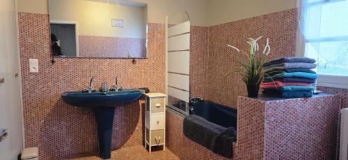 a bathroom with a blue sink and a mirror at LA MAISON DU MUGUET - Accueil Chevaux - Horse Friendly in Liart