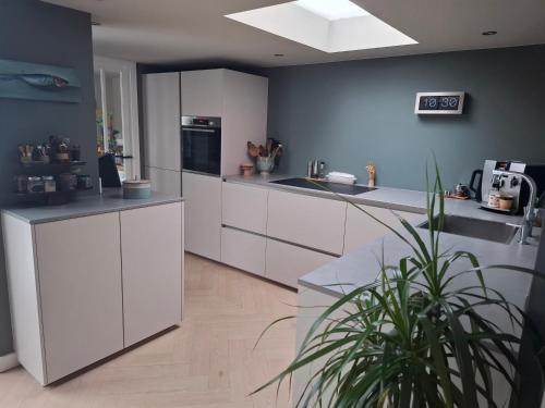 a kitchen with white cabinets and a potted plant at Zee-en-Zo Noordwijk in Noordwijk