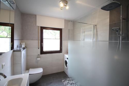 a bathroom with a toilet and a sink and a shower at Ferienwohnung Rennsteigblick in Riechheim