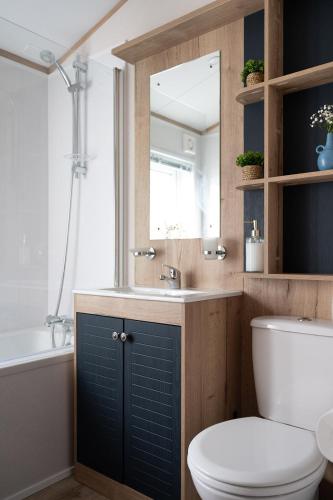 a bathroom with a sink and a toilet and a mirror at Willow lodge in Brynteg