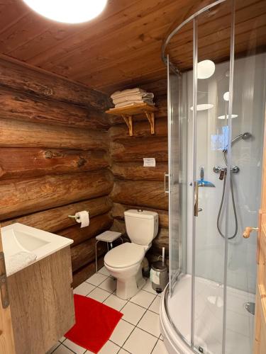 Chalet Le Ranch في لي دوز آلب: حمام مزود بمرحاض ودش