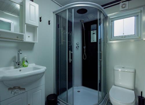 a bathroom with a shower and a toilet and a sink at Timbuktoo Escape in Glen Creek