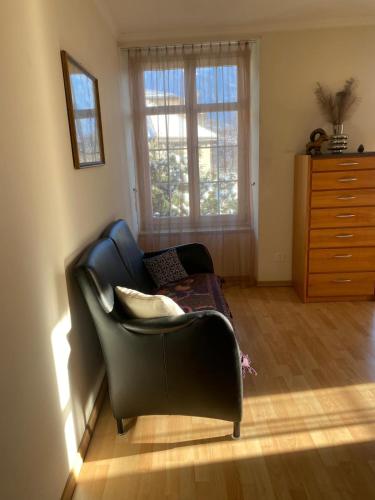a living room with a leather chair and a dresser at Bad Ragaz Appartement in Bad Ragaz
