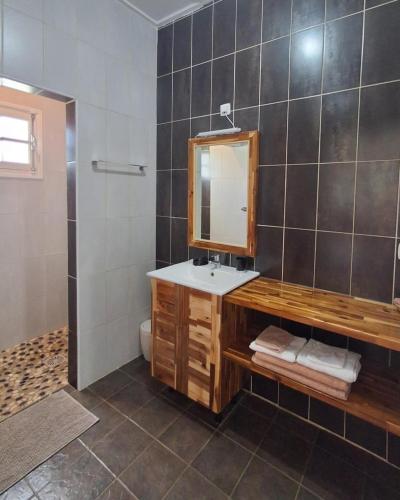 a bathroom with a sink and a mirror at Le four à pain in Saint-Philippe