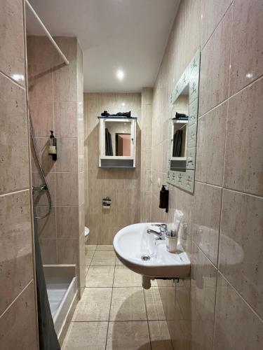 a bathroom with a sink and a shower at Hotel NIU a 50 m del Funicamp in Encamp