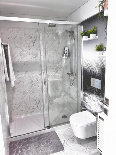 a bathroom with a shower and a toilet at Luxury by the Blue in Vila Nova de Gaia