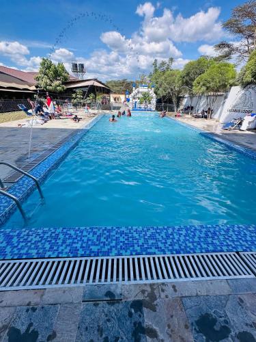 a large swimming pool with people in the water at Lake Naivasha Lazarus Lodge in Naivasha