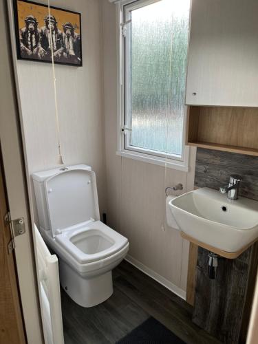 a bathroom with a white toilet and a sink at 23 The Brambles - Haven Cleethorpes Beach in Humberston