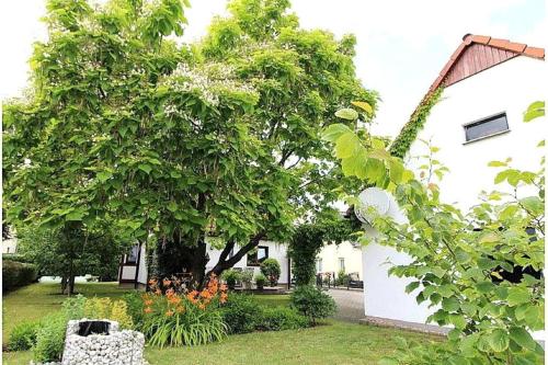 a tree in a yard next to a white building at Landlust in Lübbenau
