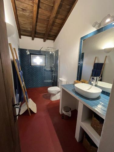 a bathroom with a sink and a toilet at Casas do Hastim in Golegã