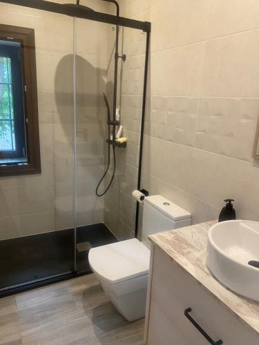 a bathroom with a shower and a toilet and a sink at Casita Mona Marcoin in Toledo