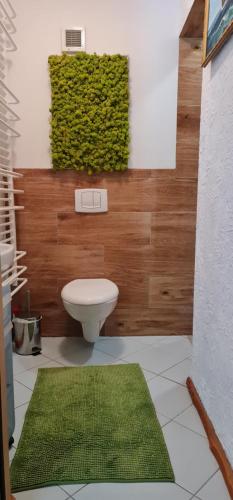 a bathroom with a toilet and a green rug at Agroturystyka TWÓJ KĄCIK in Kurzętnik