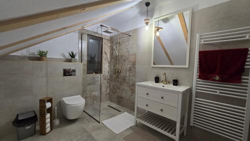 a bathroom with a toilet and a shower and a sink at La Murmur de Padure in Bălnaca