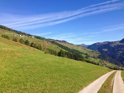 a dirt road in a grassy field with mountains at Chalet Nidus Montis in Wergenstein