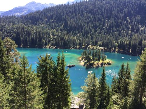 a view of a lake in the mountains at Chalet Nidus Montis in Wergenstein