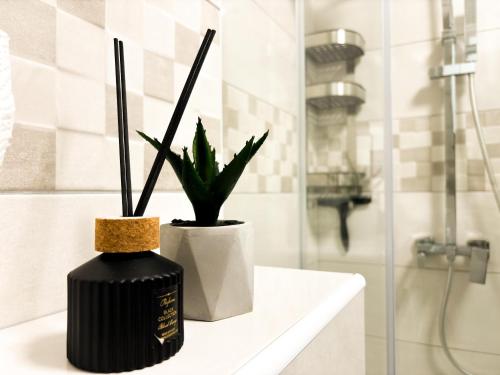 two black vases sitting on a counter with a plant at Apartman Sučić in Livno