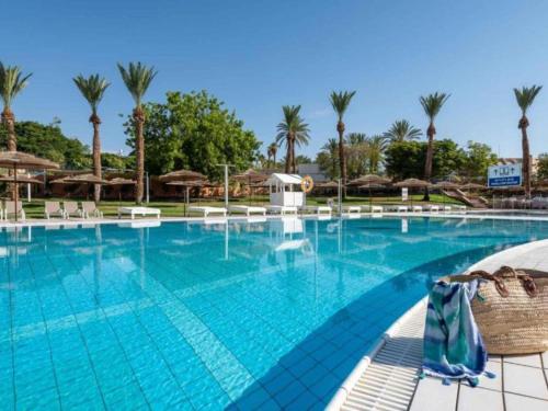 a large swimming pool with chairs and palm trees at תיירות קיבוץ אילות in Eilat