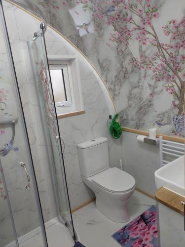a bathroom with a toilet and a shower at Butterfly PODika in Lerwick