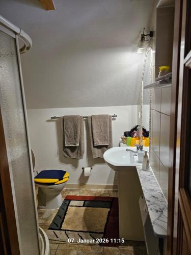 a bathroom with a sink and a toilet at Ferienhaus Lipowa in Lipowa