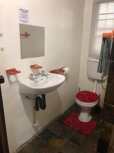 a bathroom with a sink and a toilet at Best view family loft in Oranjeville