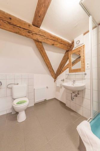 a bathroom with a toilet and a sink at Hörners Landgasthof in Geislingen an der Steige