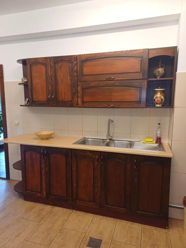 a kitchen with wooden cabinets and a sink at Belvedere GreșuLepșa in Greşu