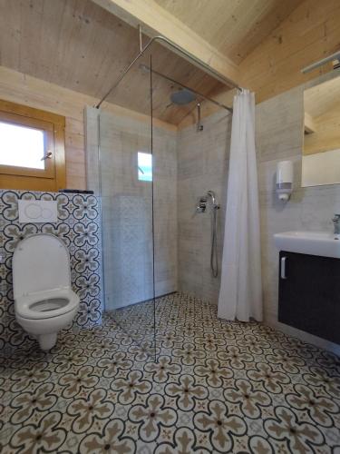 a bathroom with a toilet and a shower and a sink at Resort Radslavice in Přerov