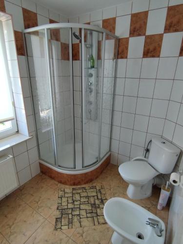 a bathroom with a shower and a toilet and a sink at Willa Anna in Nałęczów