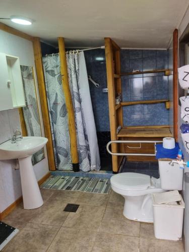 a bathroom with a toilet and a sink at Cabaña Cielo Patagonico in Futaleufú