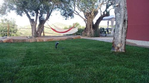 a bird standing in the grass near some trees at Villa Monte da Alfarrobeira in Estói