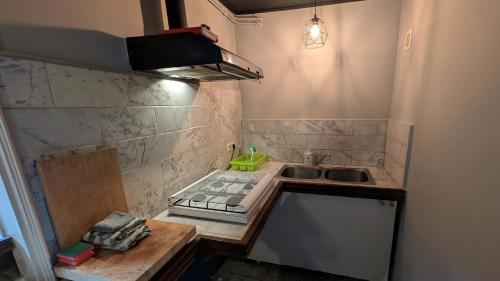 a small kitchen with a sink and a stove at Gastenverblijf Zomerdijk in Meppel