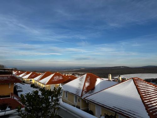 a row of houses with snow covered roofs at Gerecse View Apartman in Dunaszentmiklós