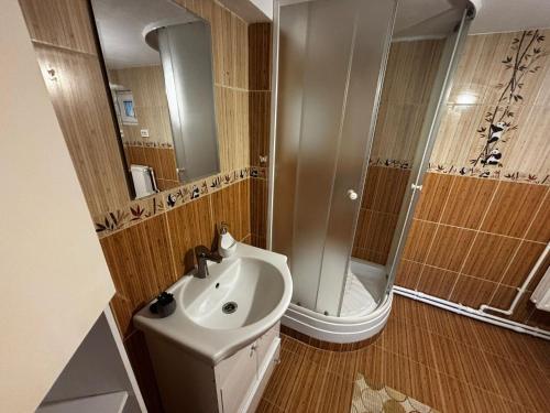 a bathroom with a toilet and a sink and a shower at Agropensiunea Maya-Andrei in Novaci-Străini