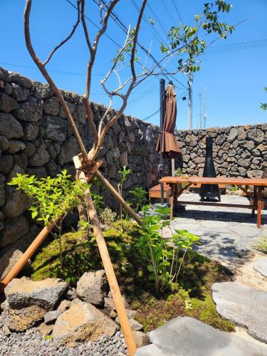 a bench and an umbrella next to a stone wall at Tov & Kara in Jeju