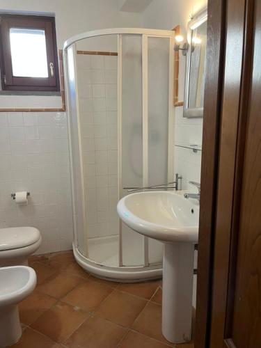 a bathroom with a shower and a sink at Chianti Borgo 28 in Gaiole in Chianti