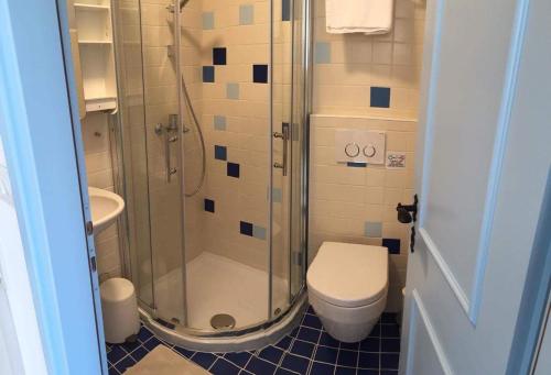 a bathroom with a shower and a toilet and a sink at Tribunj House in Tribunj