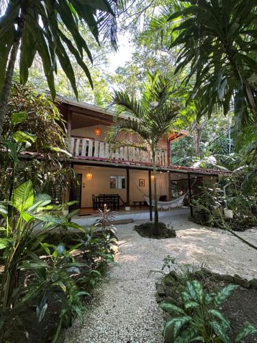 a house in the middle of a garden with palm trees at Colibri Apartments - Private kitchen & bathroom - 4 min walk to the Beach! in Santa Teresa Beach