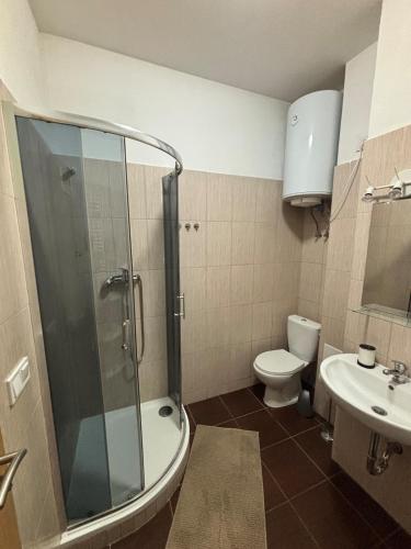 a bathroom with a shower and a toilet and a sink at Apartmány u Klínovce in Vejprty