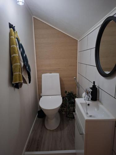 a small bathroom with a toilet and a sink at Villa Juhala in Rovaniemi