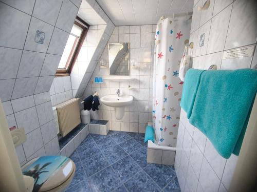 a bathroom with a sink and a toilet and a shower at Zingster Ostseeklause in Zingst